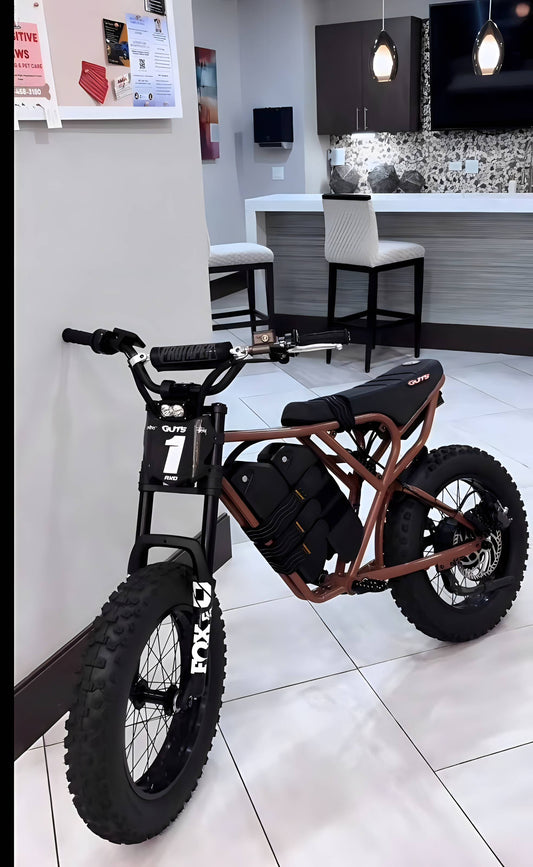 Ridstar Q20 full titanium bolt kit